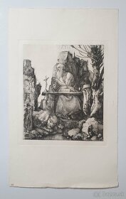 Albrecht Dürer - lepty. - 2