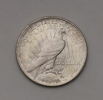 Strieborný Peace Dollar 1924 P - 2