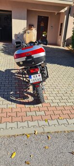 Honda transalp - 2
