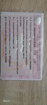 Škoda fabia 1.9 TDI - 2