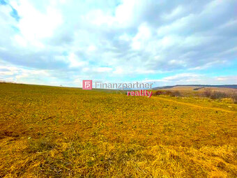 MIMORIADKA: SP zahrnutý v územnom pláne mesta -Rúrky 49€/m2- - 2