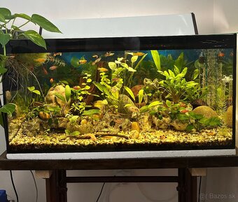 Predám 100L akvárium - 2
