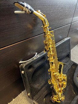 Saxofón Buffet Crampon + kufor - 2