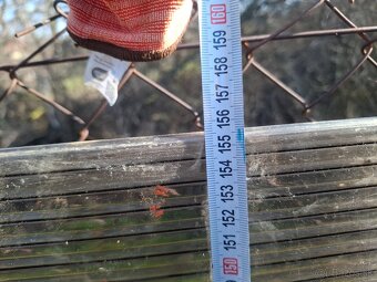 lexán platna 390cm x 155 cm - 2