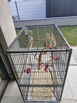 2 Korely a klietka - 2