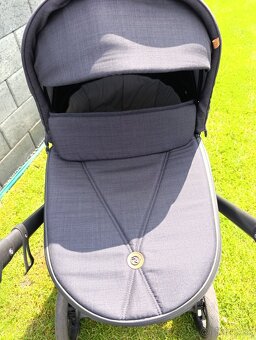 Roan bass next 2023 3v1 - 2
