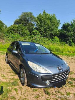 Peugeot 307 1,6 Hdi 66kw diesel - 2