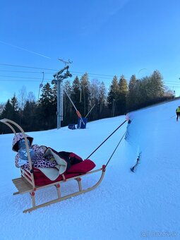 Sánky pre dvojičky / veľké sánky - 2