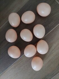 Umele Vajíčka - 2
