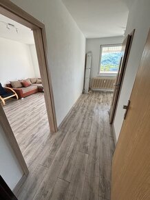 Kompletne zrekonštruovaný 1-izbový byt - 2