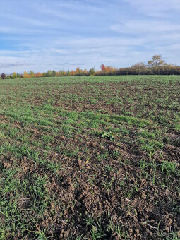 SENEC - NA PREDAJ investičné pozemky s platným ÚPI, určené n - 2