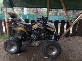Bashan 200 - 2