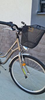 Kenzel 28" - 2