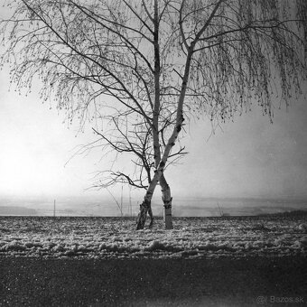 Funkční bakelitový fotoaparát PERFEKTA II z roku 1954 - 2