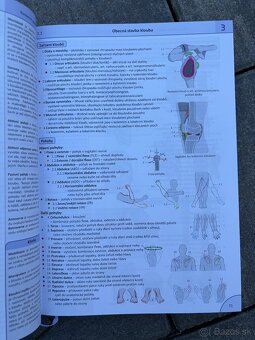 Memorix anatomie 6.vydanie - 2