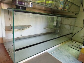 Terarium pre plazy - 2