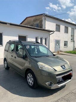 Peugeot Tepee - 2