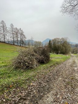 Darujem drevo na štiepku - 2