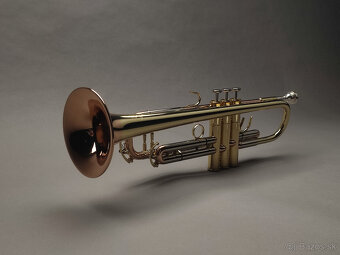 Trúbka Amati ATR 313 - 2