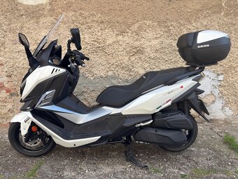SYM Cruisym 300i ABS TCS rv 2024 - 2