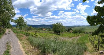 Rekreačný pozemok - 2