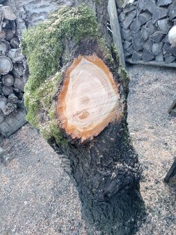 Ceresnové drevo - 2