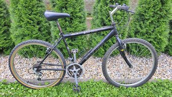 HORSKÝ BICYKEL ALPINA - 2