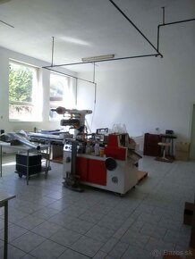 Baliaca linka - 2