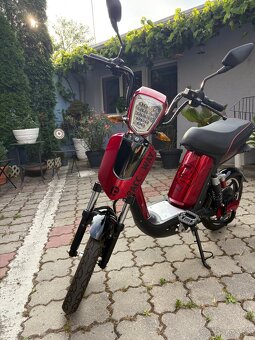 RACCEWAY® E-BABETA - 2
