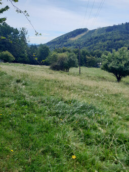 Predaj, rekreačný pozemok v 1/1 - 2