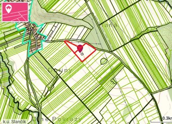 Investičný pozemok v obci Slančík-19 350m2 - 2