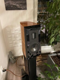 Aurum Cantus V2M - 2