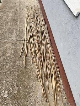 Predám bambusové tyče – 180 až 200 cm - 2