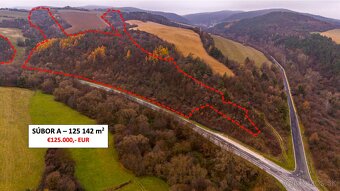 Rokycany – 233.000 m2 LESNÉ POZEMKY v podiele 1/1 - 2