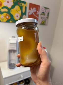Kombucha štartovací nálev - 2
