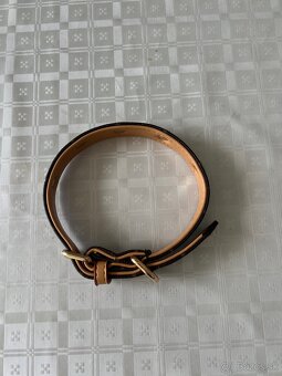 Obojk+vodítko Louis Vuitton - 2