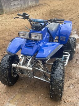 Yamaha Warrior 350 - 2