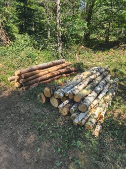 Palivové drevo - 2
