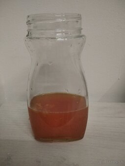 Kombucha SCOBY - 2