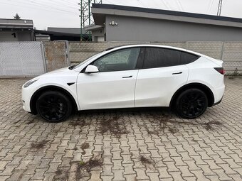 Tesla Model Y Long Range Dual Motor - 2