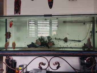 Akvárium +stolik - 2
