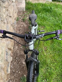Ctm dirtking 2024 - 2