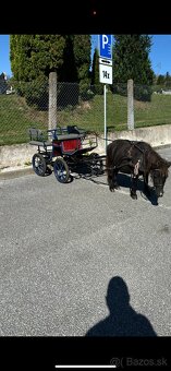 Brička wagoneta - 2