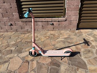 Segway Ninebot eKickScooter ZING E8 - 2