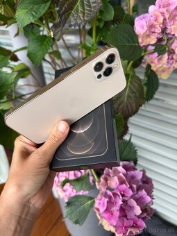 Zlaty iphone 12pro, 256GB - 2