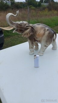 Velky mohutný slon RD - 2