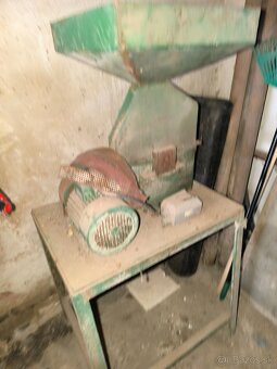 Srotovnik obilia - 2