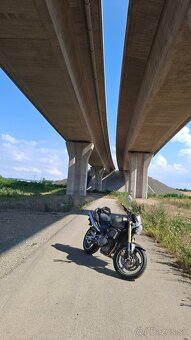 Honda hornet 600 - 2