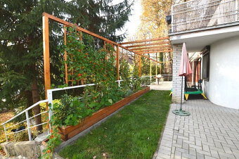 5 izb RD (chata), Plánky, pozemok 6á, les, možnosť rozdeliť - 2