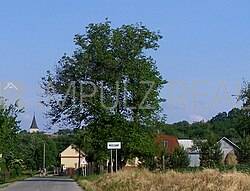 KH-951, Stavebný pozemok, záhrada, Medzany, - 2